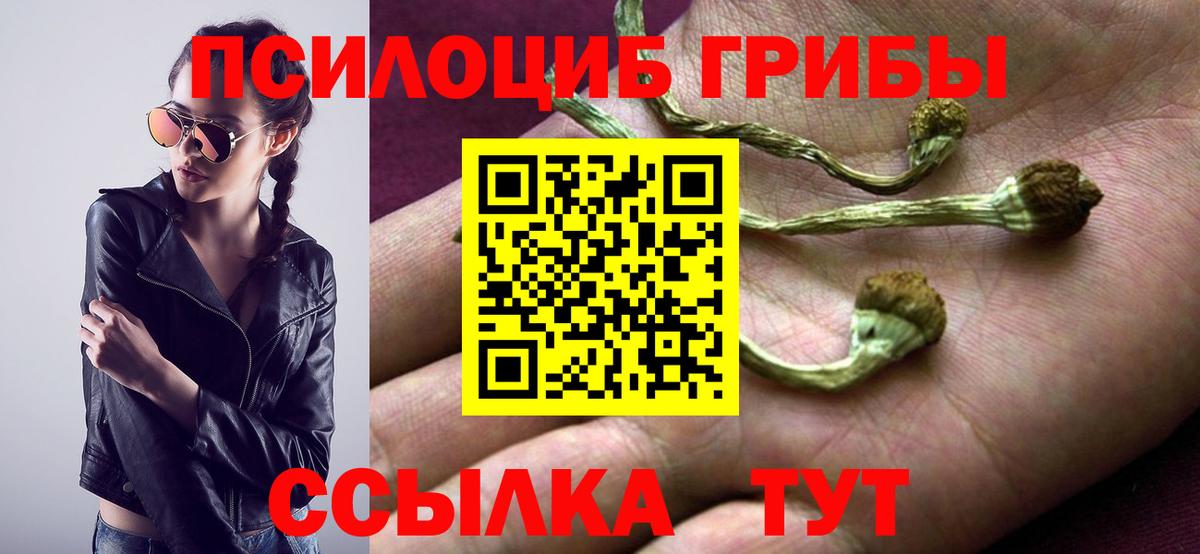 Галлюциногенные грибы мухоморы  даркнет сайт  Вход с VPN  Электрогорск  Галлюциногенные грибы прущие грибы 